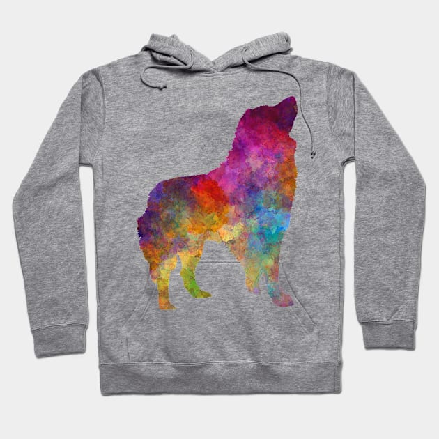 Romanian Carpathian Shepherd Dog in watercolor Hoodie by PaulrommerArt